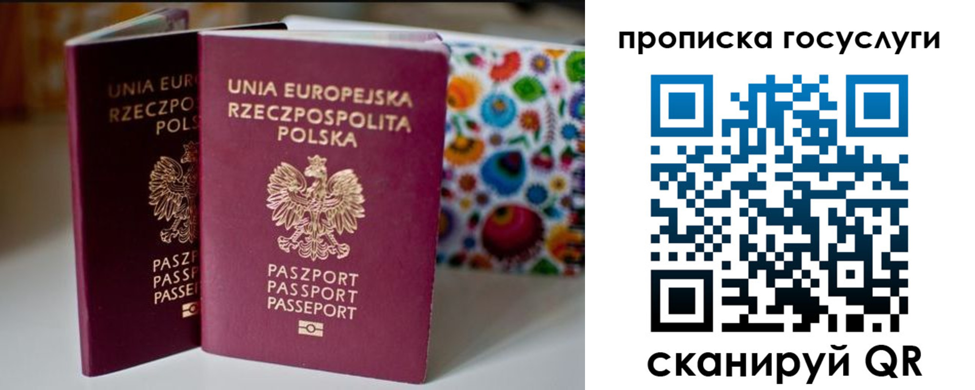 пропишу в квартире в Вязьме
